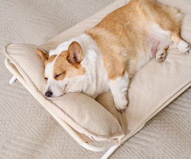 Cama Elevada para Perros y Gatos – Malla Transpirable + Cojín Lavable