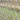Malla Cuadrada tipo 5014 - Bizcocho 1.80x25mt